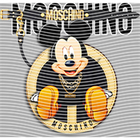 Brand Catalog-ZX 505